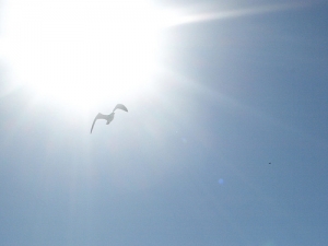 Sky light